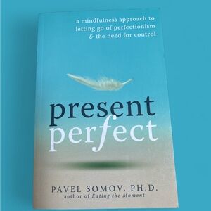 Present Perfect Book by Pavel Somov